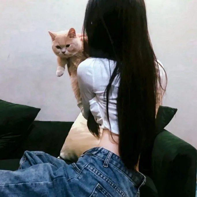 重启的爱情
