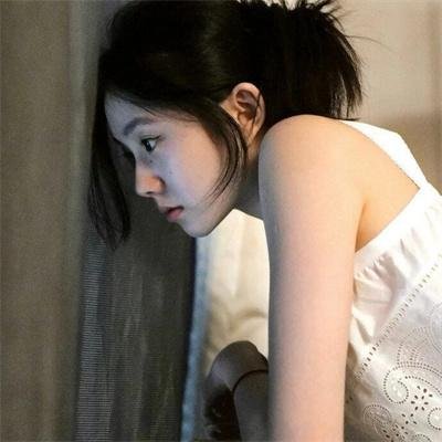 西北岁月